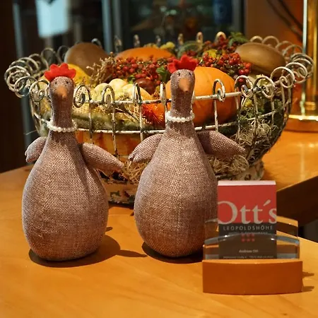 Hotel Ott'S Hotel Weinwirtschaft & Biergarten Weil Am Rhein/Basel Weil am Rhein