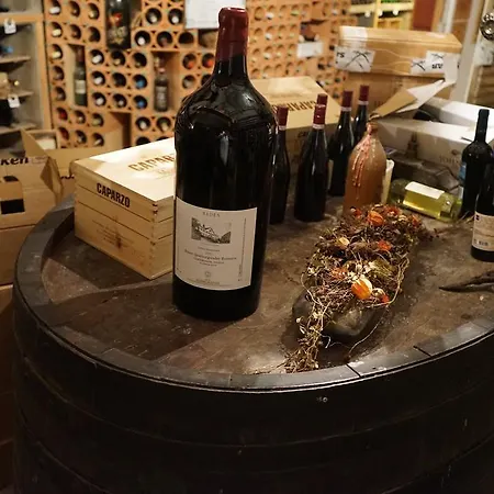 Ott's Weinwirtschaft & Biergarten Weil Am Rhein/basel 3*