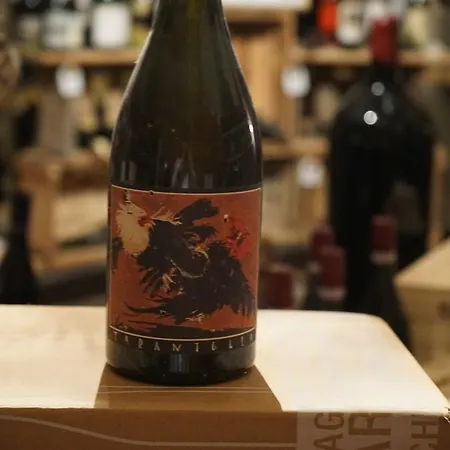 Ott's Weinwirtschaft & Biergarten Weil Am Rhein/basel Hotel