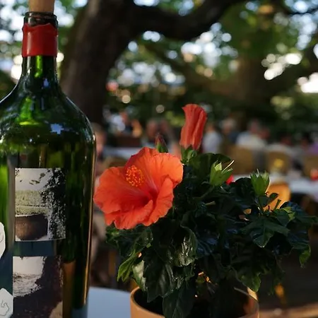 Ott's Weinwirtschaft & Biergarten Weil Am Rhein/basel מלון