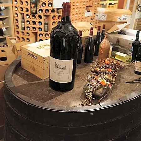 Ott's Weinwirtschaft & Biergarten Weil Am Rhein/basel 酒店 莱茵河畔威尔