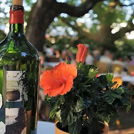 酒店 Ott's Weinwirtschaft & Biergarten Weil Am Rhein/basel 莱茵河畔威尔